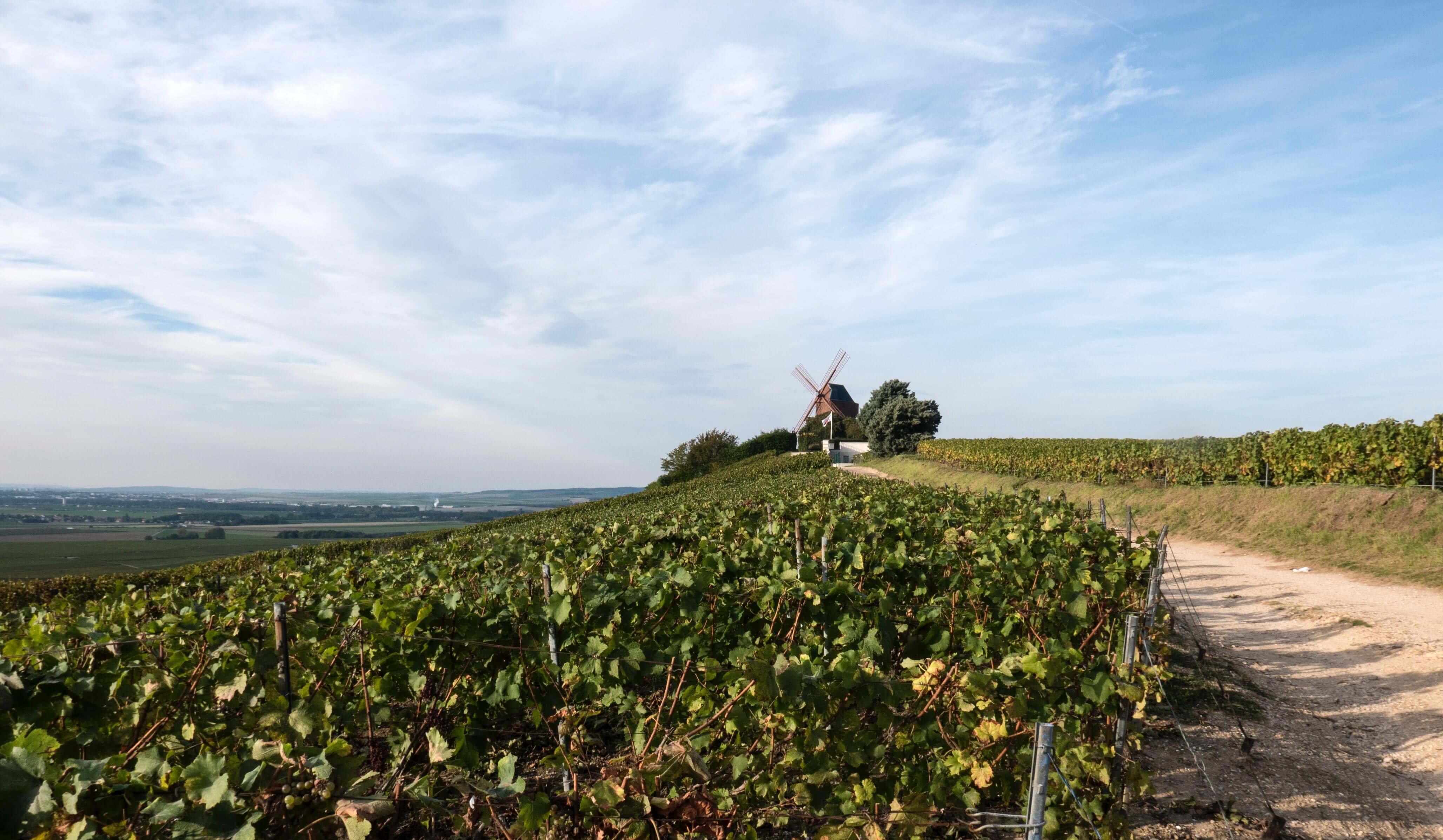 Le marché du terroir